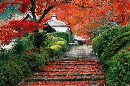 Beijing Private Tour to Summer Palace and Fragrant Hill with Cable Car Ride