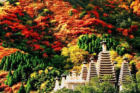 Beijing Private Tour to Fragrant Hill and Temple of Azure Clouds with Cable Car