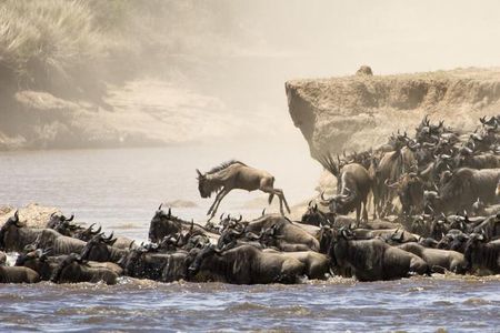 5 Days 4 Nights Tarangire, Serengeti , Ngorongoro & Manyara Wildlife Safari 