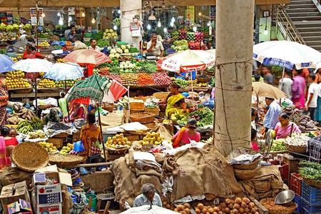 Mormugao (Goa) shore excursions