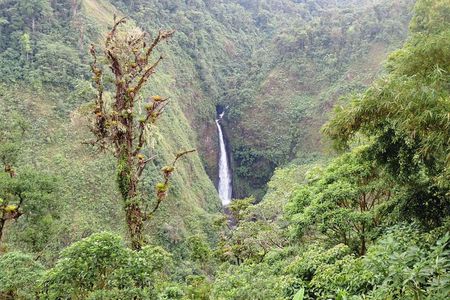 Volcano, Waterfalls, Zipline, Hot Springs Full Day Tour