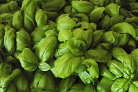 Cooking Class Pesto Sauce