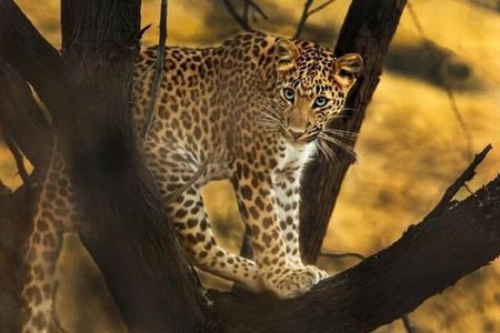 Private Full Day Outdoor Activities in Jaipur with Tickets