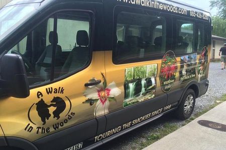 Smoky Mountain Guided Scenic High Van Tour