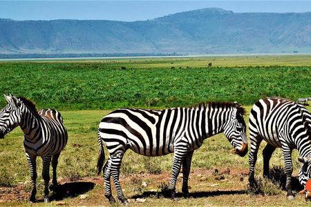 3 Days Tanzania Safari