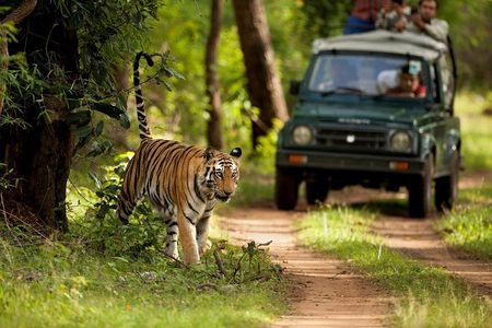 7 Days Golden Triangle Tour with Ranthambore: Delhi Agra Jaipur