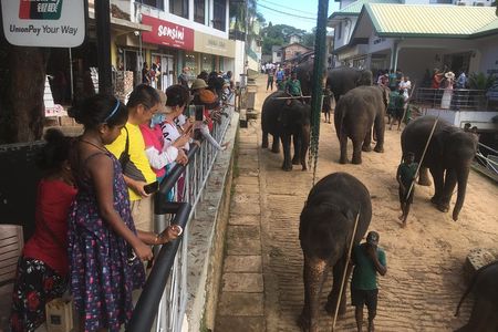 Sri Lanka round tour