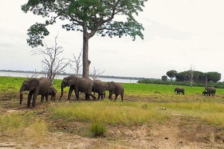 3 Days Safari to Nyerere National Park (Selous Game Reserve)