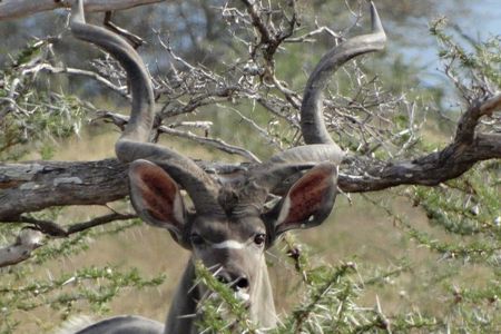 5 Days Safari to Nyerere NP (Selous GR) and Mikumi NP