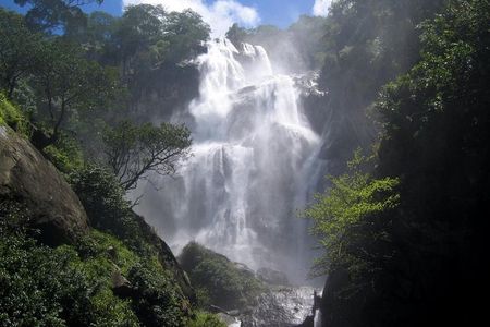 4 Days Safari to Mikumi NP and Udzungwa Mountain NP Mid - Range Accommodation