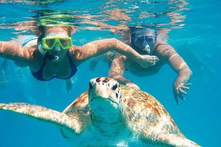 Snorkel Tour in Curacao