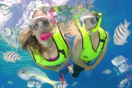 Roatan Excursion Horseback Riding / Zip Line / Sloths Hangout / Snorkel Adven..