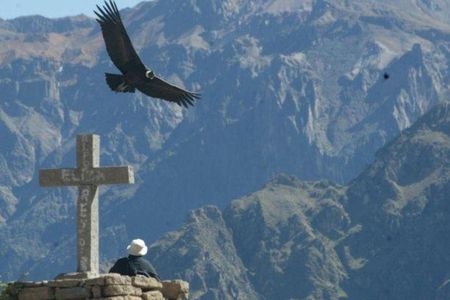 Full day Colca Canyon with Entrances from Arequipa