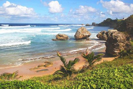 Barbados Private Custom Island Tour
