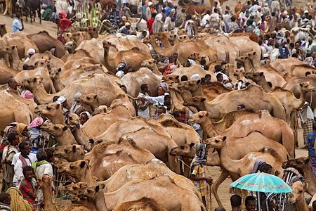 North Ethiopia Round Trip Tours From Addis Ababa