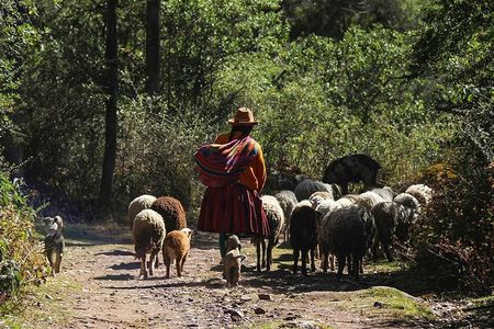 Lares Trek Private Service