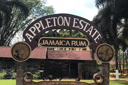 Appleton Rum Factory, YS Falls, and Reggae Horseback Ride & Swim Combo Tour