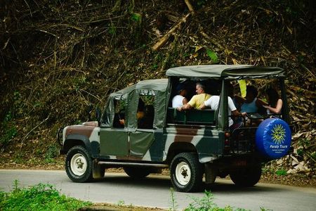 Waterfalls and Cachaça Distillery Jeep Tour