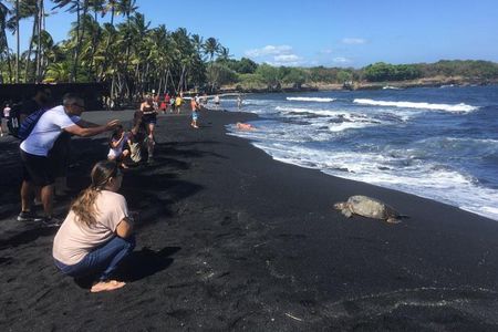Hawaii Big Island Customized Private Tour