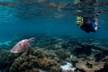 3 Night Ningaloo Reef Snorkel and Dive Getaway from Coral Bay