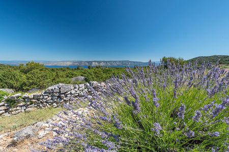 Exclusive Hvar Wine Tour - Scenic Views & Local Wines