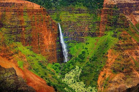 Kauai Waimea Canyon and Koke'e Tour