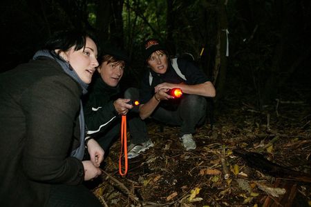 Zealandia Small Group Eco Wildlife Night Tour
