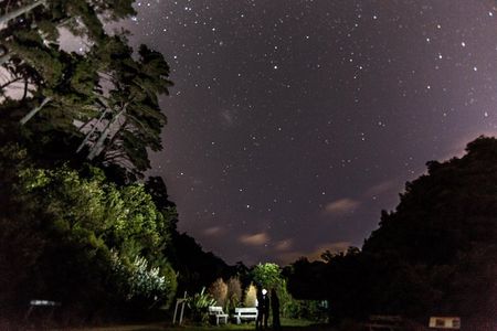 Zealandia Small Group Eco Wildlife Night Tour