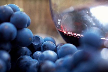 Small Group 6 guests: Ultimate Mornington Peninsula Food and Wine