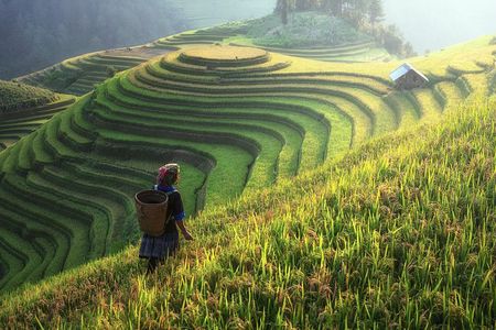 Sapa Trekking 3 Days 2 Nights by Bus - Homestay & Hotel