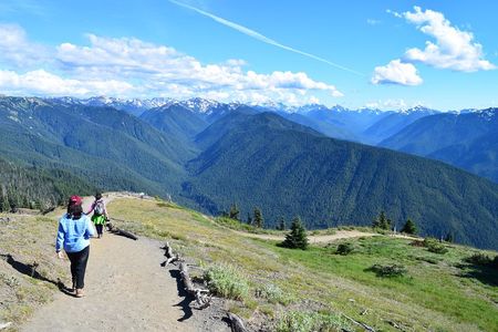 Sol Duc, Lake Crescent, and Hurricane Ridge Guided Tour in Olympic National Park