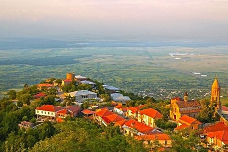 Private gastronomic and wine tour - Kakheti