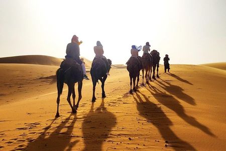 3 Day Desert Tour from Marrakech to Merzouga with Camel Ride
