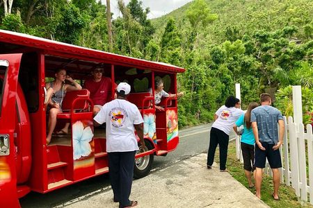 Book Your Private Two and a Half Hour Island Tour today!