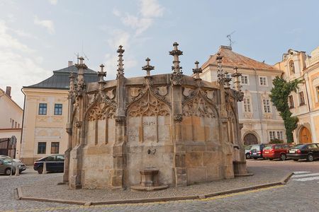 Kutná Hora & Bone Church (with admissions)