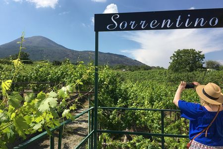 WINE TOUR&TASTING Lacryma Christi Vesuvio 