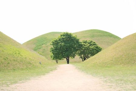 Korean UNESCO World Heritage Tour including Gyeongju, Andong and Daegu(2N3D)