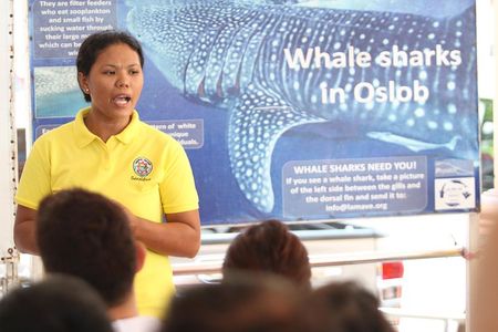 Whale Shark Swimming Experience and Aguinid Falls from Cebu