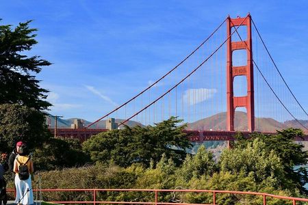 San Francisco: Coastal Redwoods Tour and Hop-on Hop-off Bus Tour
