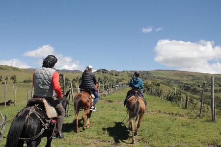 Roses & Horseback Riding (PRIVATE Day Trip from Quito)