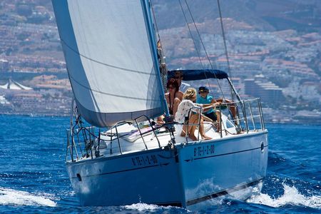 Tenerife 3-Hour Discover Whales and Dolphins