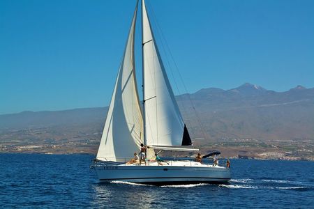 Tenerife 3-Hour Discover Whales and Dolphins