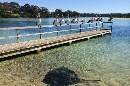 The Eurobodalla Experience (Full day private tour including lunch)