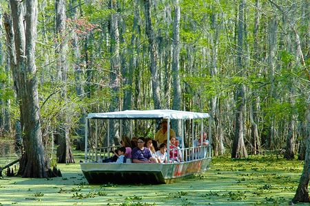 New Orleans Self-Transport Swamp and Bayou Boat Tour