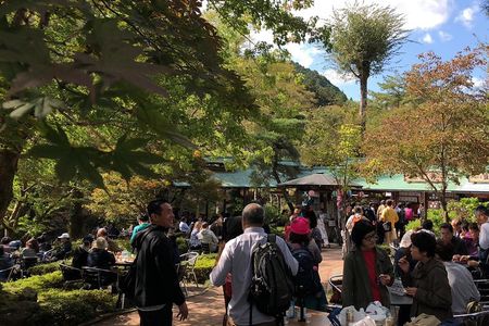 Private tour: Tokyo's Oldest Sake Brewery and riverside walk.
