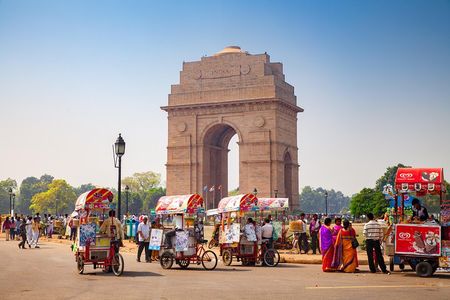Delhi Private City Tour: Customize your own