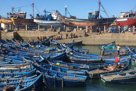 The Charms of Essaouira Mogador and the Argan tree Forests