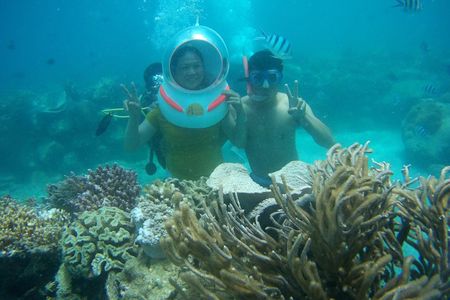 Full-Day Speedboat Guided Tour With Sea Walking Included Lunch And Entrance Fees