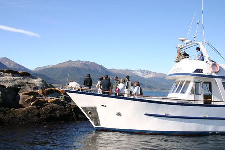 Beagle Channel Navigation on Yacht