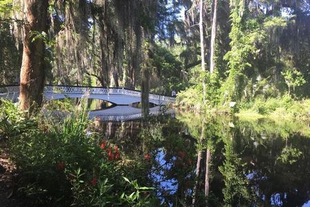 Magnolia Plantation Admission & Tour with Transportation from Charleston